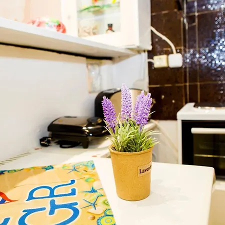 Colour With Free Bikes Apartment