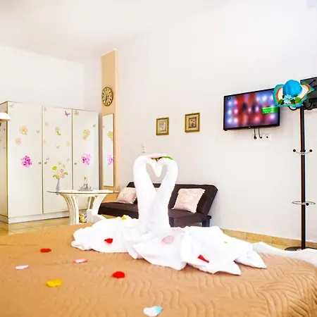 Appartement Colour With Free Bikes