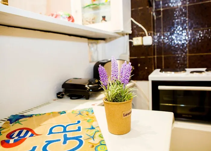 Colour With Free Bikes Appartement